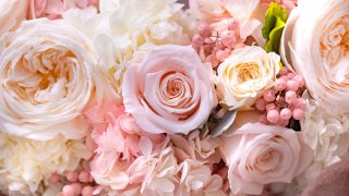 プリザーブドフラワー - 大阪フラワーショップCRANZクランツ